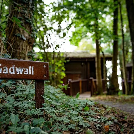 Gadwall With Hot-tub * Carlisle (Cumbria)