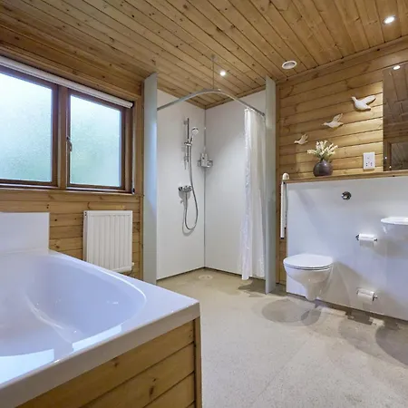 Gadwall With Hot-tub