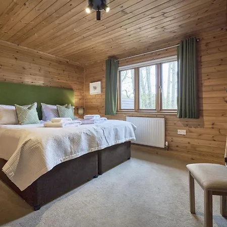 Gadwall With Hot-tub