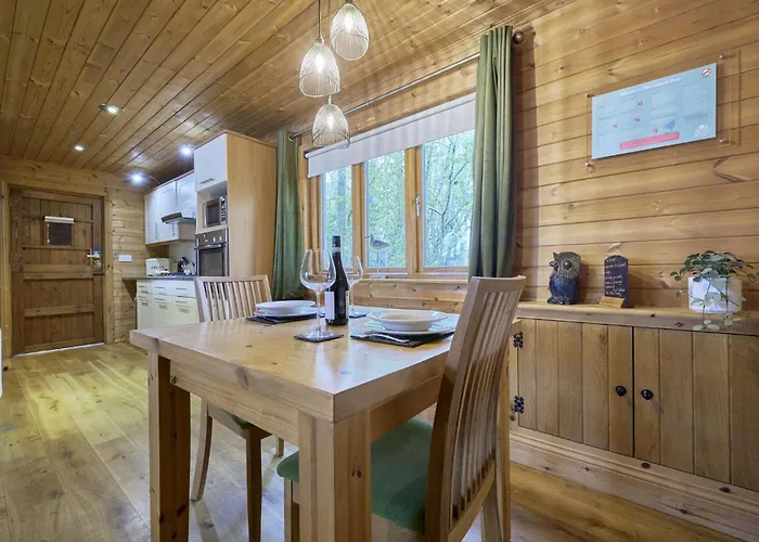 Gadwall With Hot-tub