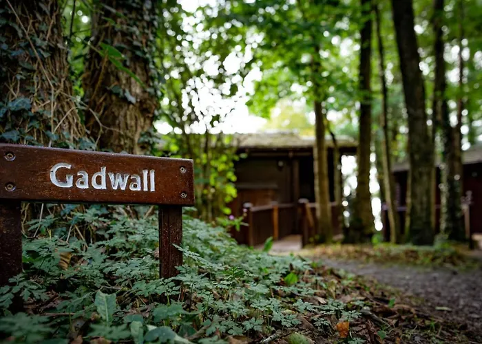 Gadwall With Hot-tub * Carlisle (Cumbria)