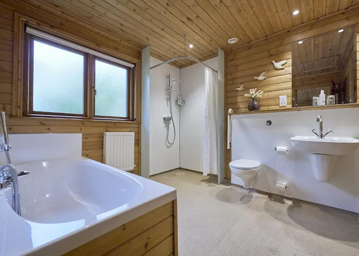 Gadwall With Hot-tub