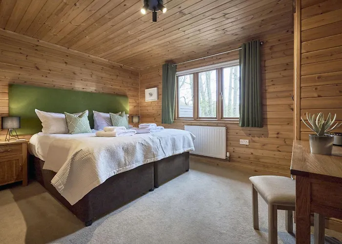 Gadwall With Hot-tub